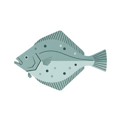 Flatfish Illustration on White Background, Marine Animal