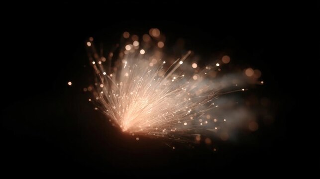 Close-up of a sparkler exploding in the night sky. the sparkler is in the center of the image, with a black background.