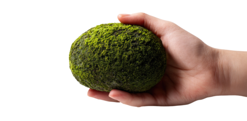 Green moss sphere held in a hand