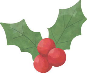Christmas Holly Leaves and Berries | Watercolor Holiday Decoration