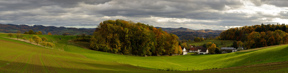 a cloudy autumn morning in the Odenwald