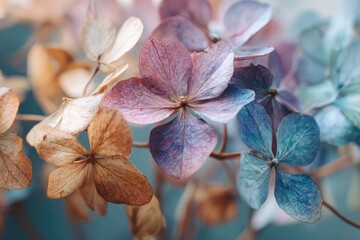 A close-up macro view of a delicate flower cluster in soft pastel colors