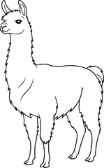 Fototapeta premium A simple line drawing of a llama standing sideways on a white background with a fluffy neck and legs