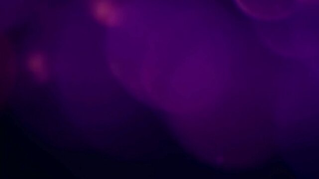 Dark purple abstract background with soft moving bokeh lights. Violet light leaks overlay for video editing and dreamy transitions.