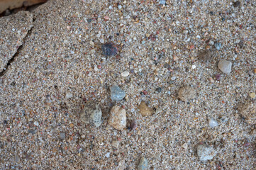 Close-up texture of natural beach sand with small pebbles and grains of various colors.