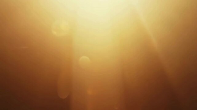 Beautiful golden sunbeams shining down with floating dust specks. Warm atmospheric god rays background for nature videos, worship, or cinematic intro sequences.