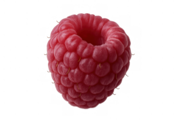 Fresh ripe red raspberry fruit, a single sweet berry, healthy food ingredient object on transparent background