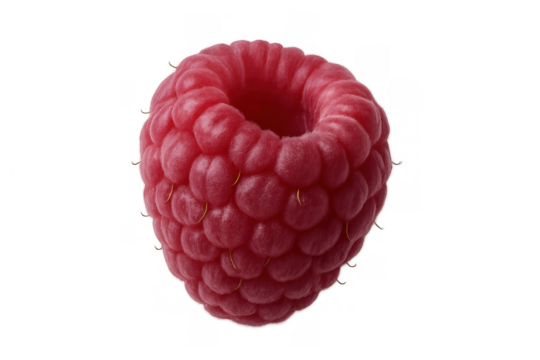 Fresh ripe red raspberry fruit, a single sweet berry, healthy food ingredient object on transparent background