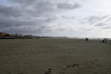 Dogs at Viareggio Beach. Running and jumping dogs at a Viareggio beach near the center of the city....