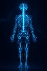 Futuristic human nervous system glowing with electric blue neuron signals, dark sci-fi background
