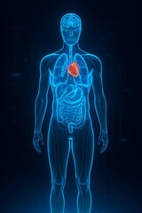  Digital human brain-heart connection visualized through holographic data streams
