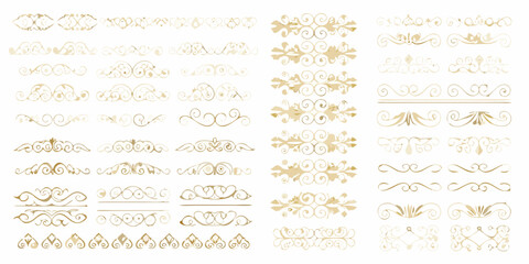 vector set of vintage floral elements