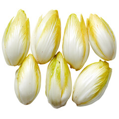 Chicoree isolated on transparent background