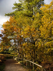 A view over the suburbs of the city of Birmingham Worcestershire West Midlands England UK