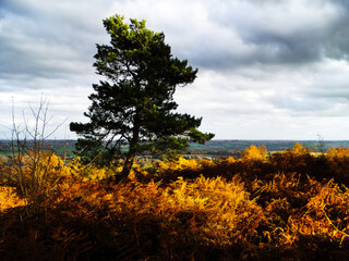 A view over the suburbs of the city of Birmingham Worcestershire West Midlands England UK
