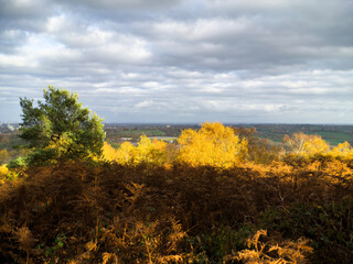 A view over the suburbs of the city of Birmingham Worcestershire West Midlands England UK
