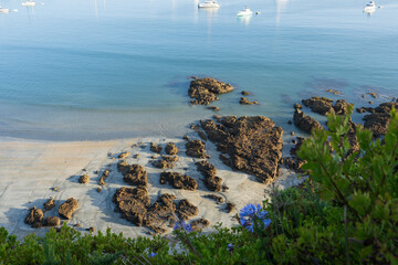 Oneroa Beach on Waiheke Island, New Zealand