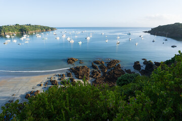 Oneroa Beach on Waiheke Island, New Zealand