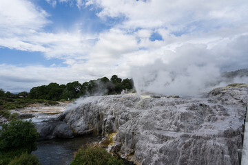 Geyser and geothermal terraces in Rotorua, New Zealand