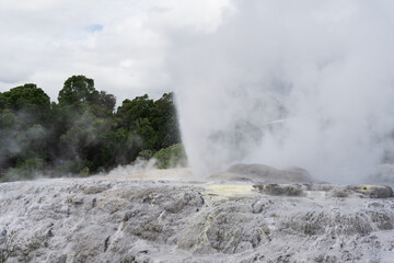 Geyser and geothermal terraces in Rotorua, New Zealand