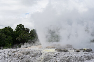 Geyser and geothermal terraces in Rotorua, New Zealand