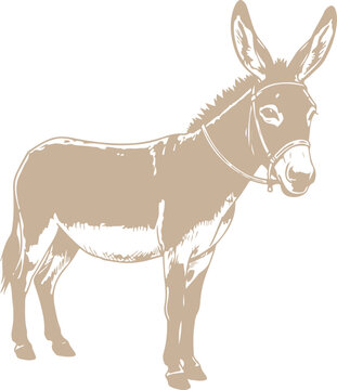 A stylized illustration of a donkey standing sideways, vector illustration