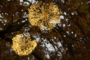 Leuchtender Weihnachtsschmuck in Baum