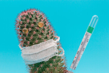 The concept of mandatory temperature measurement, cactus in a medical mask measures the temperature