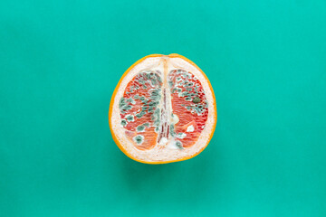 The concept of vaginal disease: venereal diseases, Vaginal yeast infection, Syphilis. Orange with mold on green background