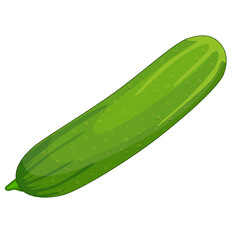 fresh cucumber icon