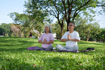 Peaceful senior asian couple doing yoga meditation in park. Happy man and woman practice healthy lifestyle with an outdoor zen exercise