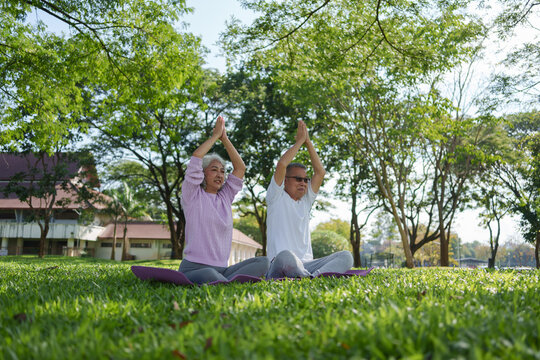Calm senior Asian couple doing yoga together on green mat in park. Happy, healthy partners stretching on grass under large tree - Powered by Adobe
