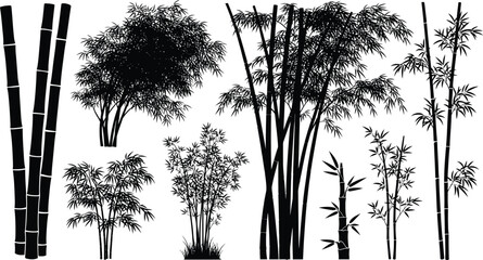 Bamboo forest silhouette vector illustration asian zen garden design eps