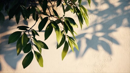 Green leaves casting natural shadows on a textured wall, creating an elegant interplay of light and nature in a serene and calming environment