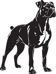 Obraz premium Boxer Dog Standing Proudly Alert Stance Full Body Silhouette Vector Illustration for Pet Shop Logo, T-shirt, or Decal Design