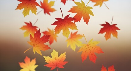 Fototapeta premium autumn leaves background