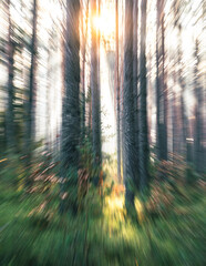 oniryczne splątane gałęzie drzew i korzenie w dziwnym lesie © Henryk Niestrój