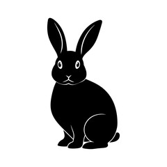 white rabbit isolated on white