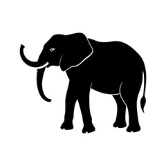 elephant isolated on white