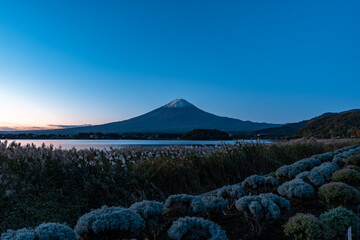 [山梨県]夜明けの富士山の風景