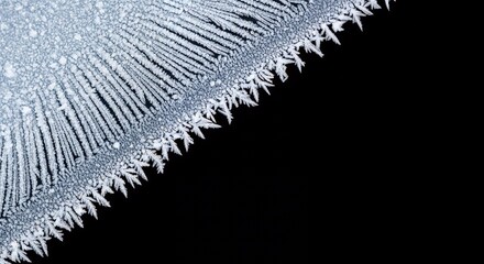 frosted icy texture with snowflakes formation isolated on black background