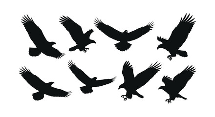 A group of eagles flying in various dynamic poses