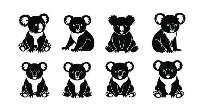 Eight koalas sitting in two rows looking forward