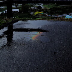 岐阜県池田町の水たまりの中に見える虹
