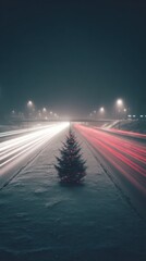 Christmas tree on a snowy highway