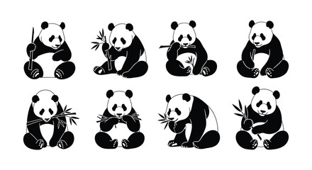 Pandas enjoying bamboo in various playful poses