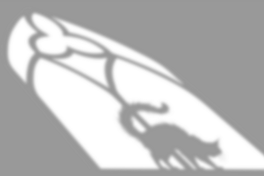 gray shadow with an arched window and a cat arched on a transparent background