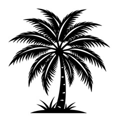 Obraz premium silhouette of palm tree
