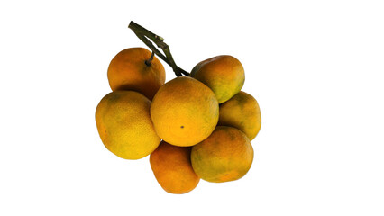 Satsuma Mandarin: A sweet, juicy, easy-to-peel citrus fruit, low in seeds, rich in vitamin C, perfect for snacking or adding to desserts and salads