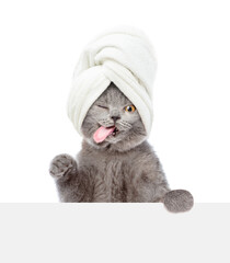 Winking cat with towel on it head looks above blank white banner. isolated on white background